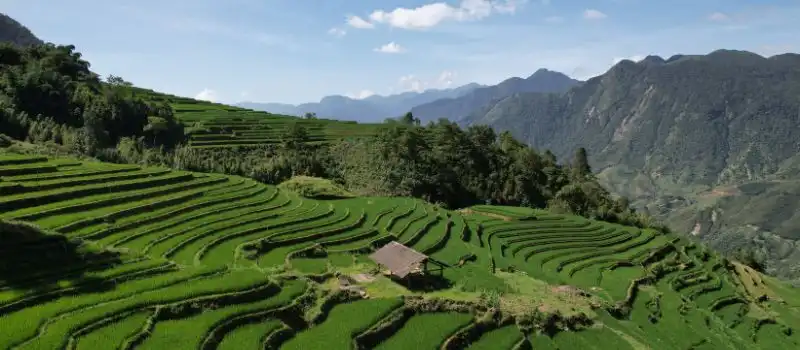 Les plus beaux paysages des rizières en terrasses de Sapa Les plus beaux paysages des rizières en terrasses de Sapa