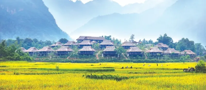 Mai Chau - Sérénité dans une vallée verdoyante Mai Chau - Sérénité dans une vallée verdoyante