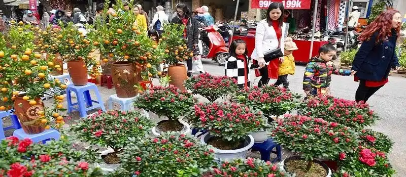 Marché aux fleurs de Hàng Luoc
