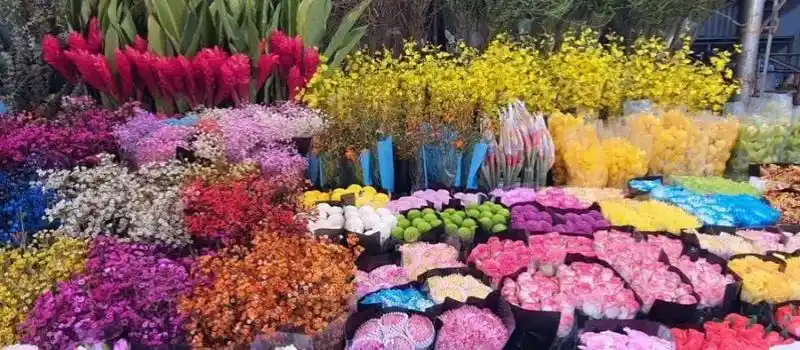 Marché de Quang Ba Hanoi Marché de Quang Ba Hanoi