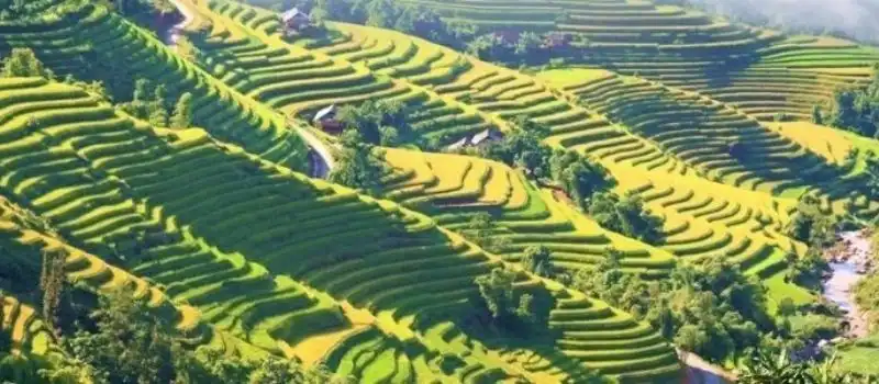 Mu Cang Chai Yen Bai Mu Cang Chai Yen Bai