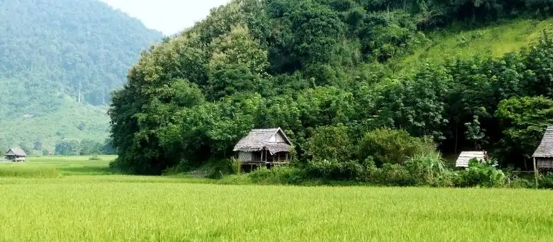 Muang La