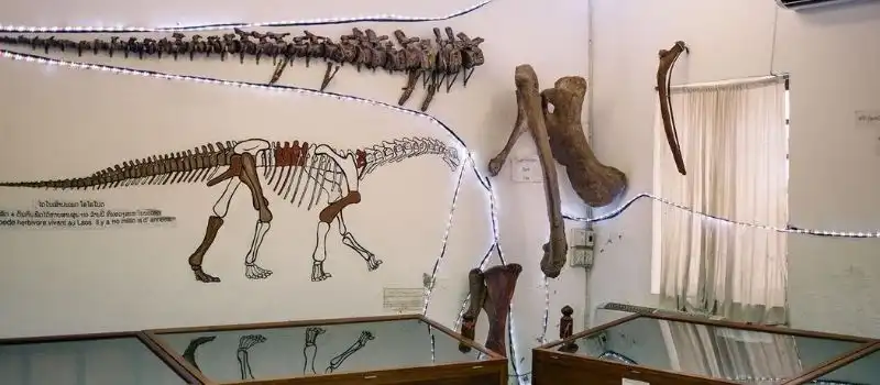 Musée des Dinosaures de Savannakhet Musée des Dinosaures de Savannakhet