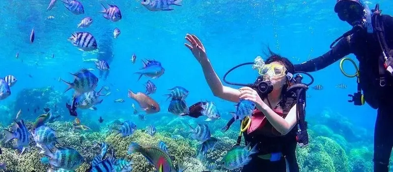Nha Trang pour la plongée et le snorkeling Nha Trang pour la plongée et le snorkeling