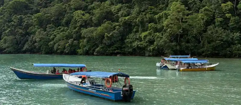 Optez pour les croisières idéales pour séjour inoubliable en famille avec notre agence locale Optez pour les croisières idéales pour séjour inoubliable en famille avec notre agence locale