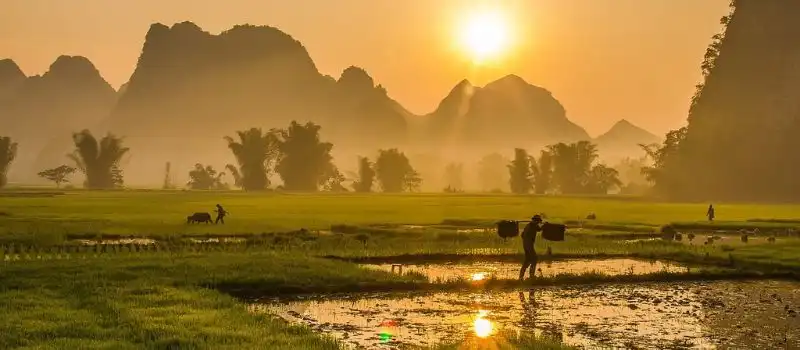 Organiser un voyage au Vietnam sur mesure avec une agence locale Organiser un voyage au Vietnam sur mesure avec une agence locale
