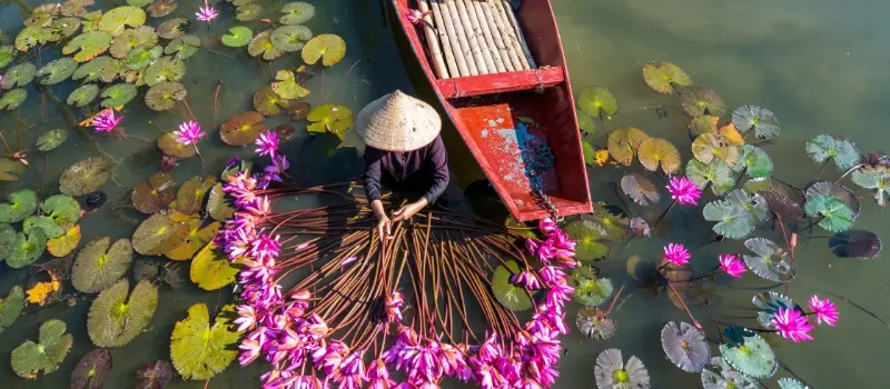 Où partir au Vietnam en juillet: itinéraire conseillé en 2 semaines Où partir au Vietnam en juillet: itinéraire conseillé en 2 semaines