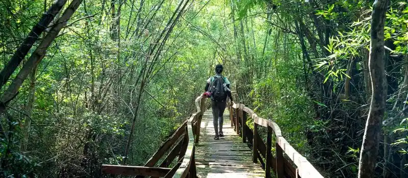 Parc national de Nam Cat Tien Parc national de Nam Cat Tien