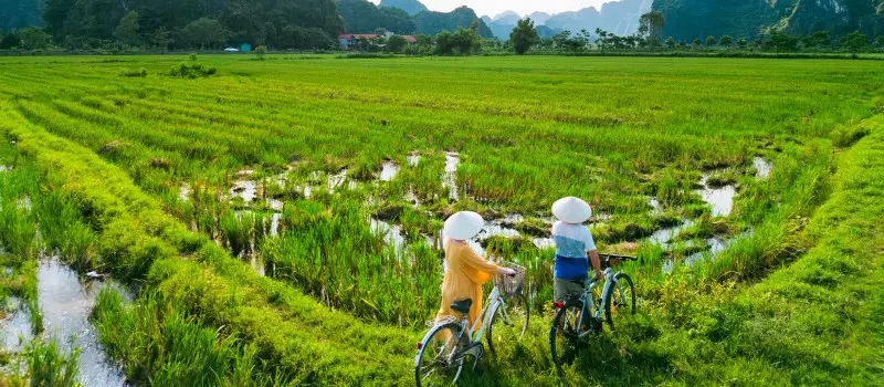Partir au Vietnam pour la nature Partir au Vietnam pour la nature