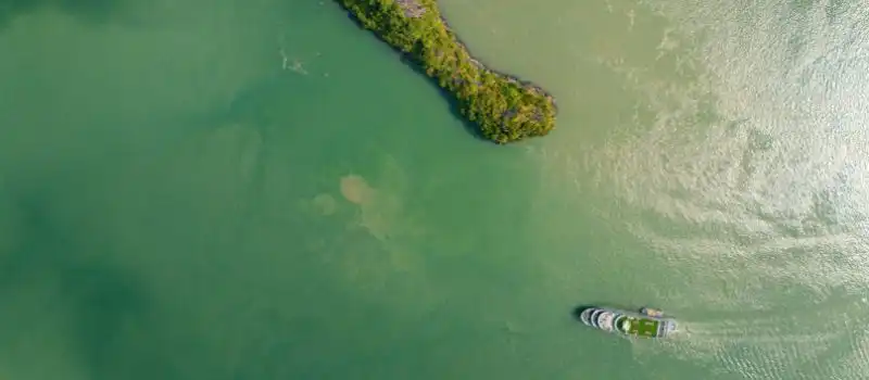 Paysages naturels grandioses de la baie magique Halong Paysages naturels grandioses de la baie magique Halong