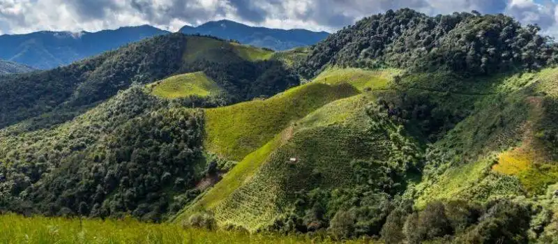 Phongsali Phongsali