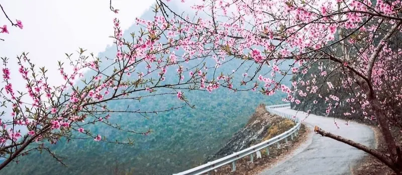Printemps au Vietnam - la saison la plus douce pour découvrir le pays Printemps au Vietnam - la saison la plus douce pour découvrir le pays