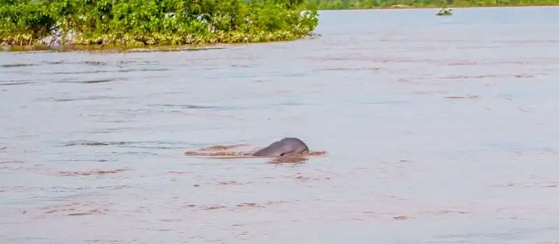 Province de Kratie