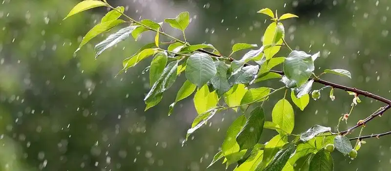 Quand partir au Cambodge selon la météo Quand partir au Cambodge selon la météo