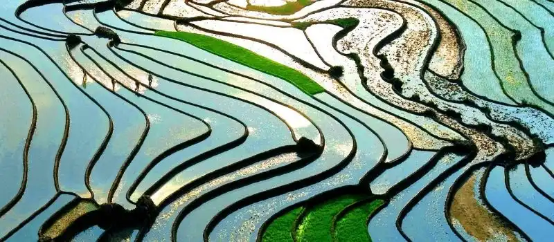 Quand partir en voyage au Vietnam Quand partir en voyage au Vietnam