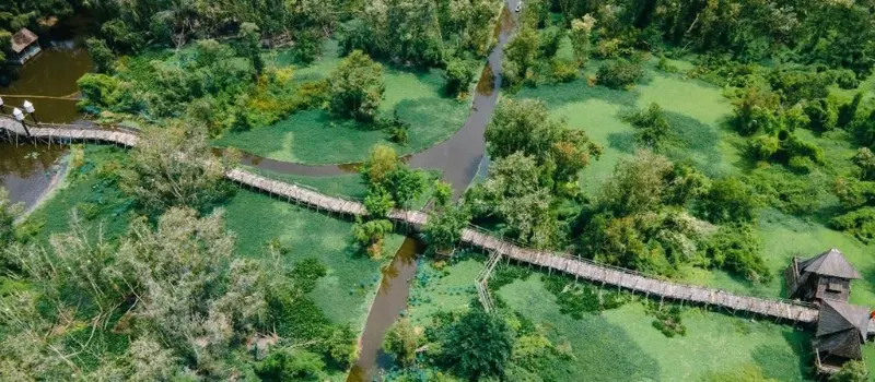 Que faire dans le delta du Mékong Vietnam hors des sentiers battus Que faire dans le delta du Mékong Vietnam hors des sentiers battus