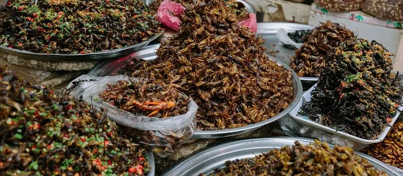 que-manger-a-siem-reap-8-specialites-cambodgiennes-a-ne-pas-manquer61 que-manger-a-siem-reap-8-specialites-cambodgiennes-a-ne-pas-manquer61