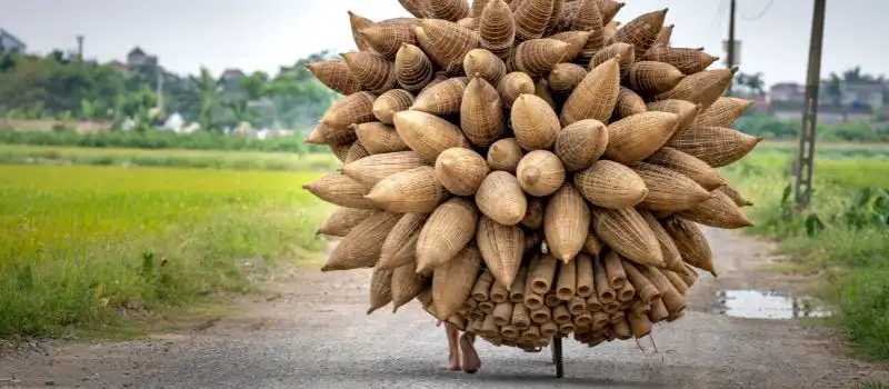 Que voir et faire autour de Hanoi? Excursions privées, villages artisanaux et pagodes à visiter