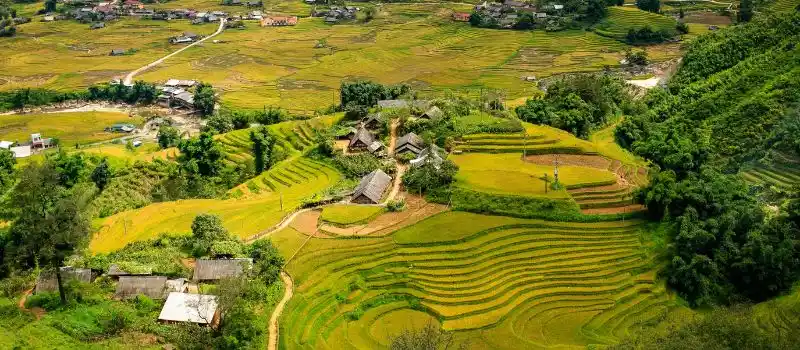Randonnées hors des sentiers battus avec un guide francophone au Vietnam Randonnées hors des sentiers battus avec un guide francophone au Vietnam