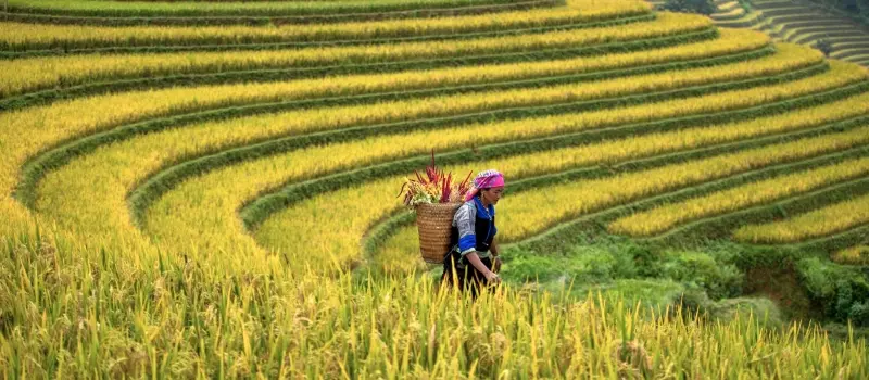 Rencontres ethniques lors du voyage dans le Nord-Est du Vietnam hors des sentiers battus Rencontres ethniques lors du voyage dans le Nord-Est du Vietnam hors des sentiers battus