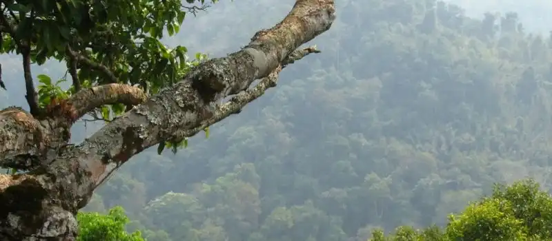 Réserve naturelle dans la province de Bokeo