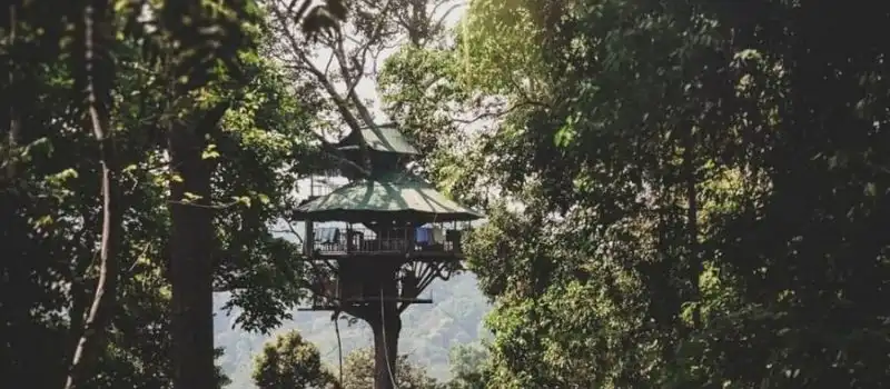 Réserve naturelle de Bokeo Voyage au Laos Réserve naturelle de Bokeo Voyage au Laos