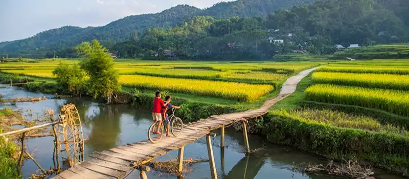 Réserve naturelle de Pu Luong fin octobre