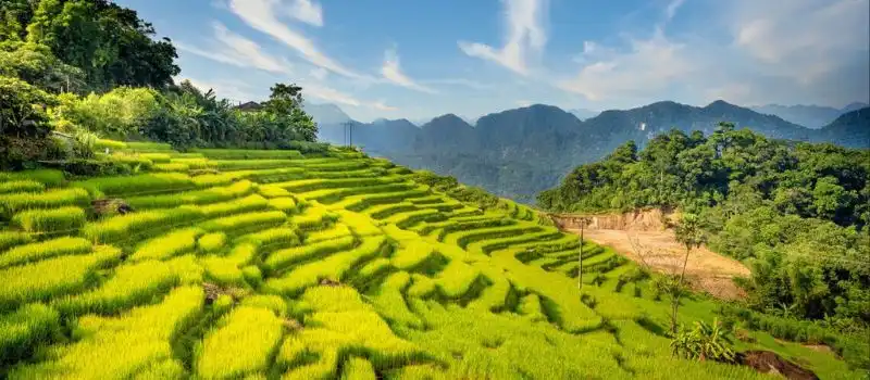 Réserve naturelle de Pu Luong Réserve naturelle de Pu Luong