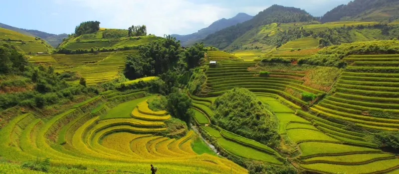 Réserve naturelle de Pu Luong Réserve naturelle de Pu Luong