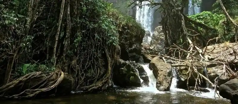 Réserve naturelle Dong Hua Sao