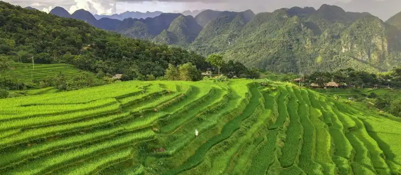 Réserve naturelle Pu Luong Vietnam Réserve naturelle Pu Luong Vietnam