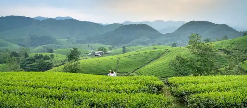 Réserver un voyage au Vietnam avec agence locale Réserver un voyage au Vietnam avec agence locale