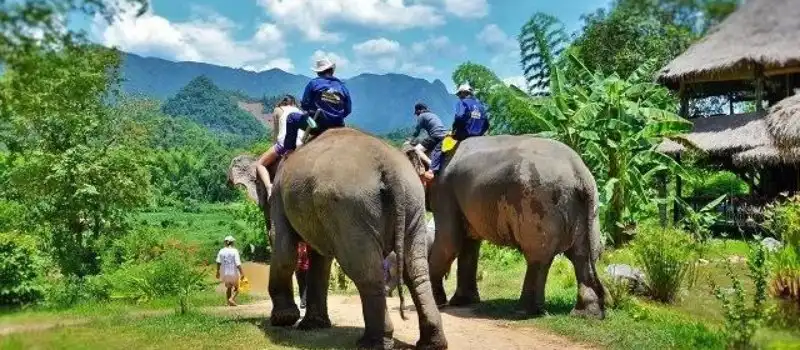 Sanctuaire du village des éléphants