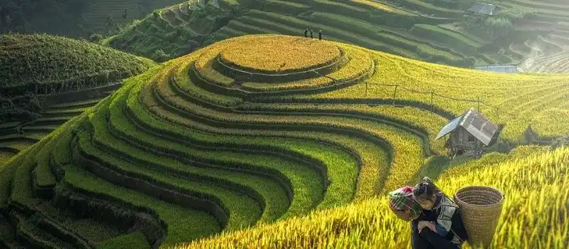 Sapa au nord-ouest du Vietnam Sapa au nord-ouest du Vietnam