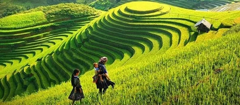 Sapa - Entre rizières en terrasse et minorités ethniques Sapa - Entre rizières en terrasse et minorités ethniques