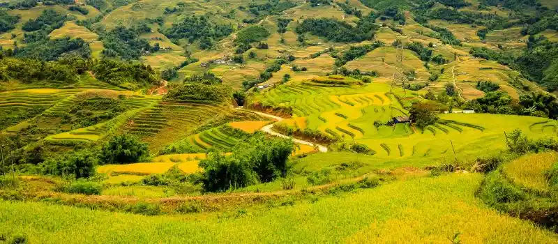 Sapa: Immersion naturelle et culturelle authentique Sapa: Immersion naturelle et culturelle authentique