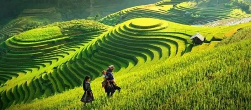Sapa Lao Cai Sapa Lao Cai