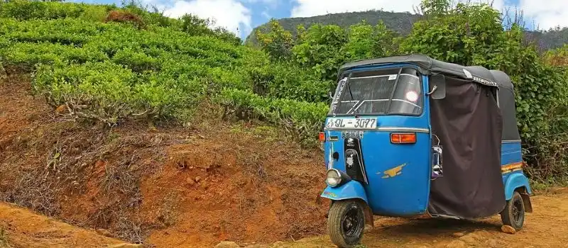 Séjour au Cambodge à travers agence de voyage francophone locale