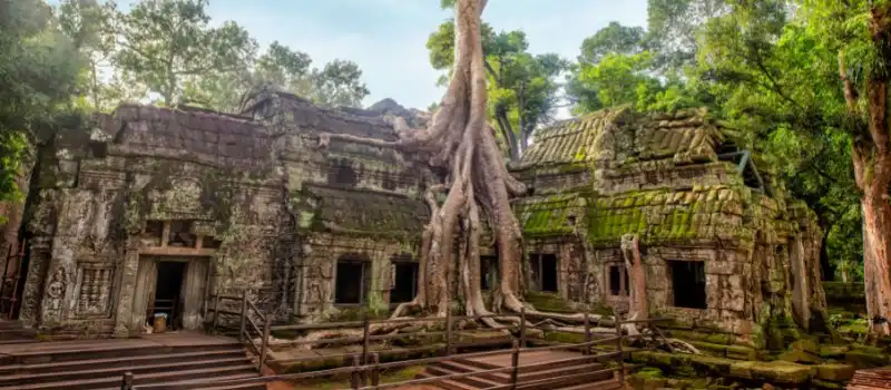 Temple de Ta Prohm Cambodge Temple de Ta Prohm Cambodge