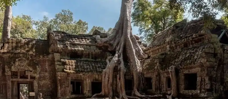 Temple de Ta Prohm Temple de Ta Prohm