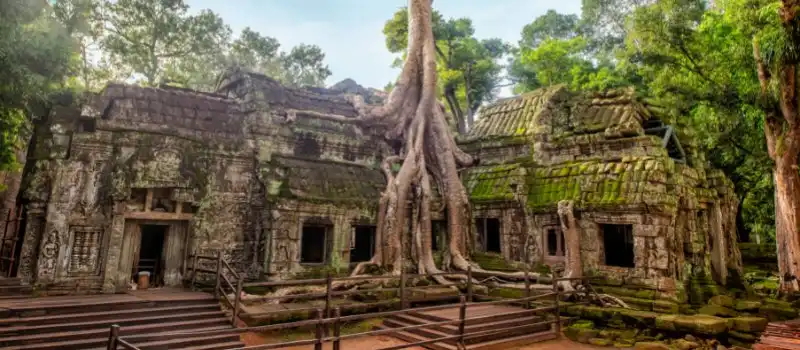Temple Ta Prohm Cambodge Temple Ta Prohm Cambodge