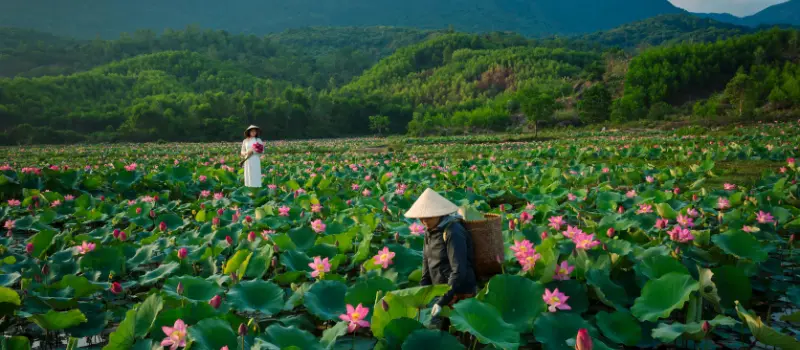 Tendances qui vont transformer votre voyage au Vietnam en 2026