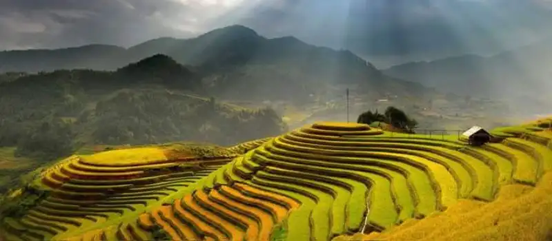 Trekking à Mu Cang Chai en octobre
