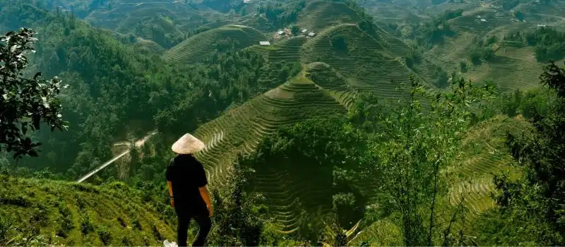 Trekking à Sapa