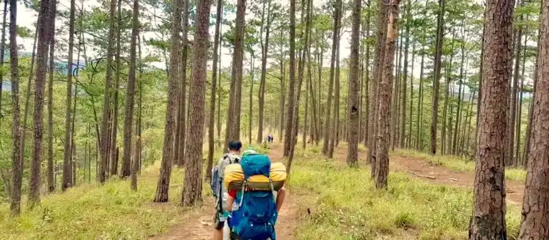 Trekking au Vietnam Trekking au Vietnam