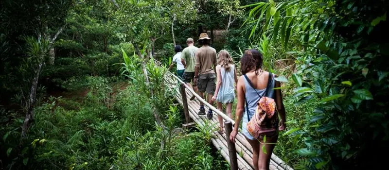 Trekking dans la jungle tropicale Trekking dans la jungle tropicale