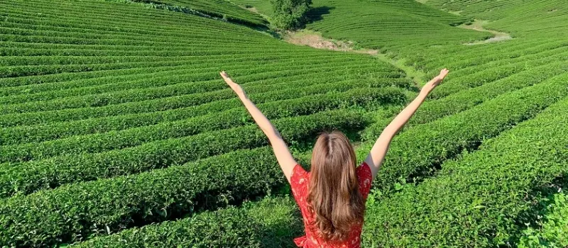 Vacances au Vietnam en septembre: Climat, météo et conseils de voyage Vacances au Vietnam en septembre: Climat, météo et conseils de voyage