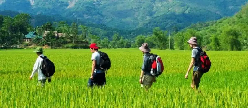 Vallée verdoyante de Mai Chau Vallée verdoyante de Mai Chau
