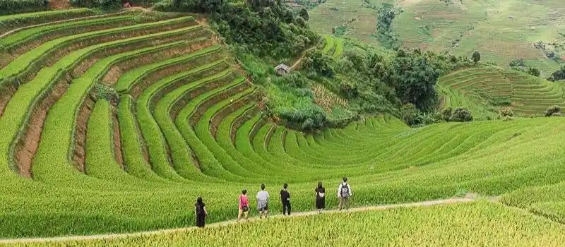 Véritable joyau béni par la nature Mu Cang Chai Véritable joyau béni par la nature Mu Cang Chai