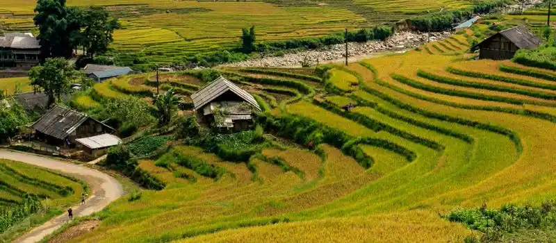 Village de Ban Ho Sapa Village de Ban Ho Sapa
